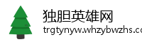 独胆英雄网